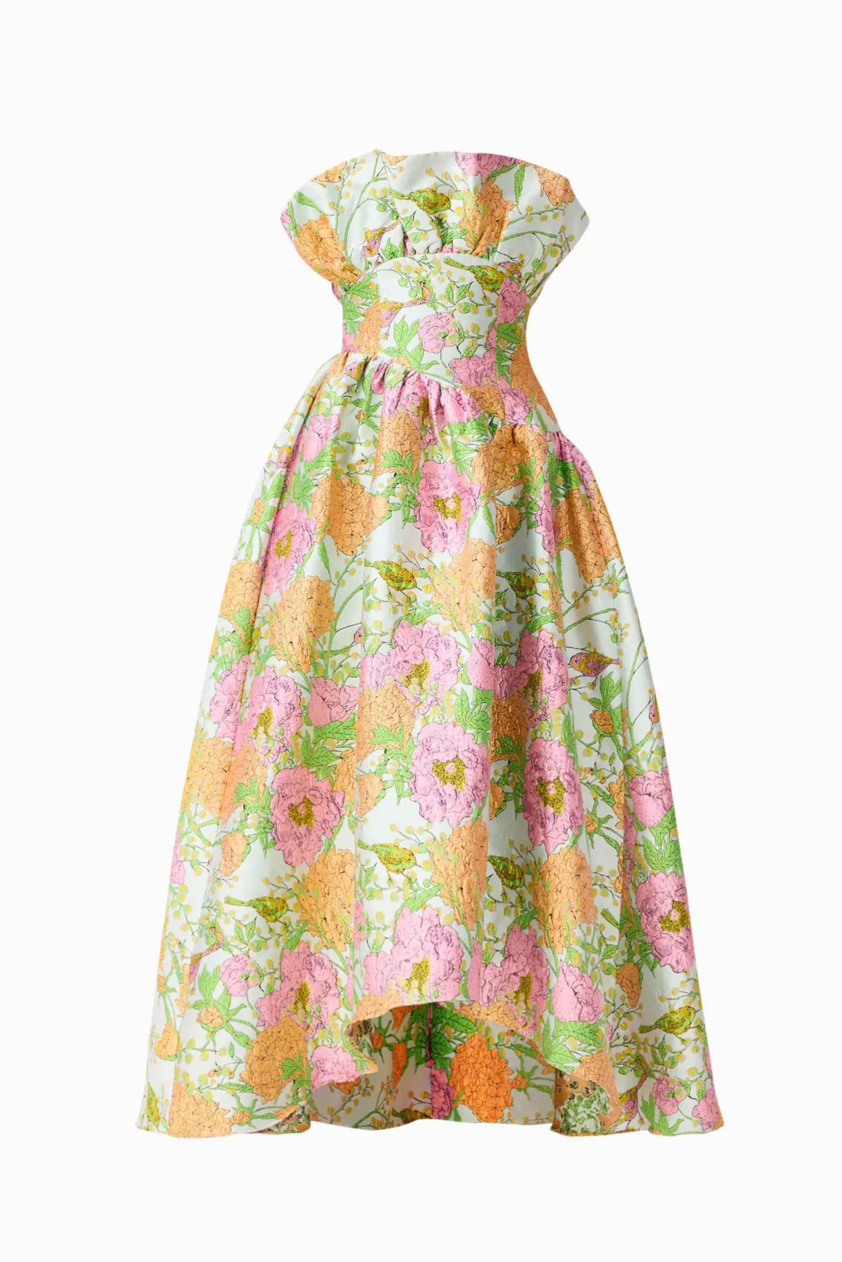 Laurel Sleeveless Floral Maxi Dress